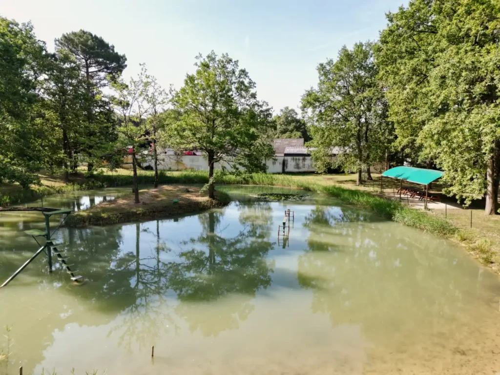 Vue aérienne panoramique du domaine arboré de Villa Lupantia