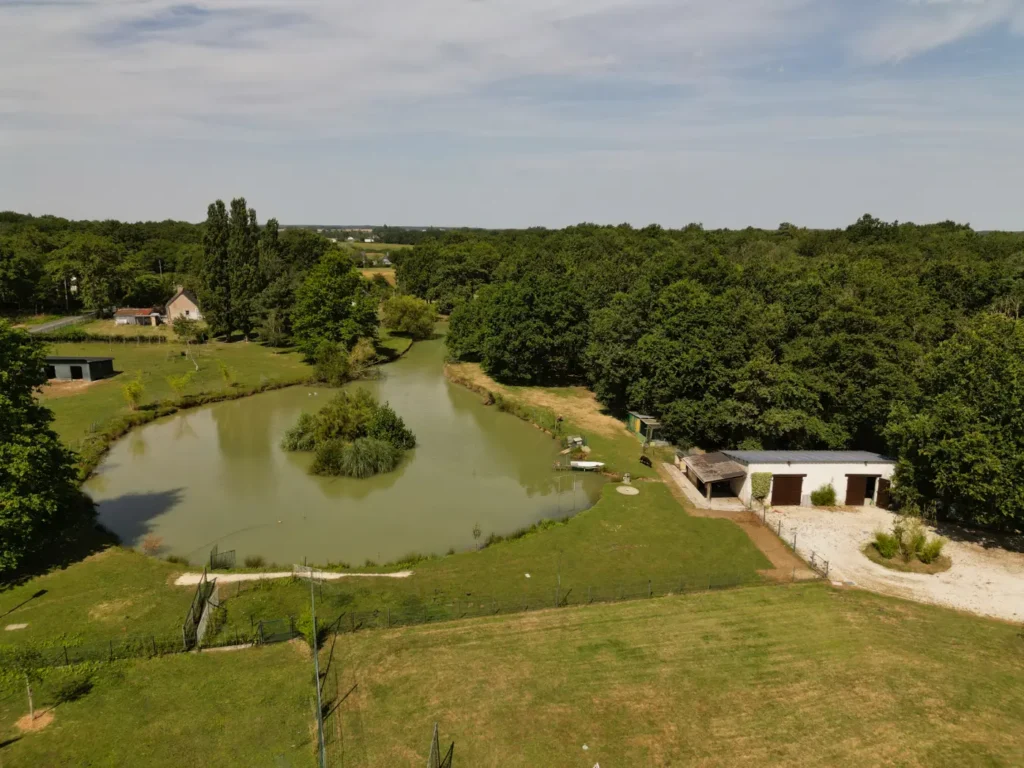 Le grand étang naturel de Villa Lupantia avec barque à disposition