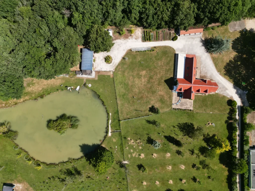 Vue aérienne du grand domaine avec parc et étang naturel à Villa Lupantia