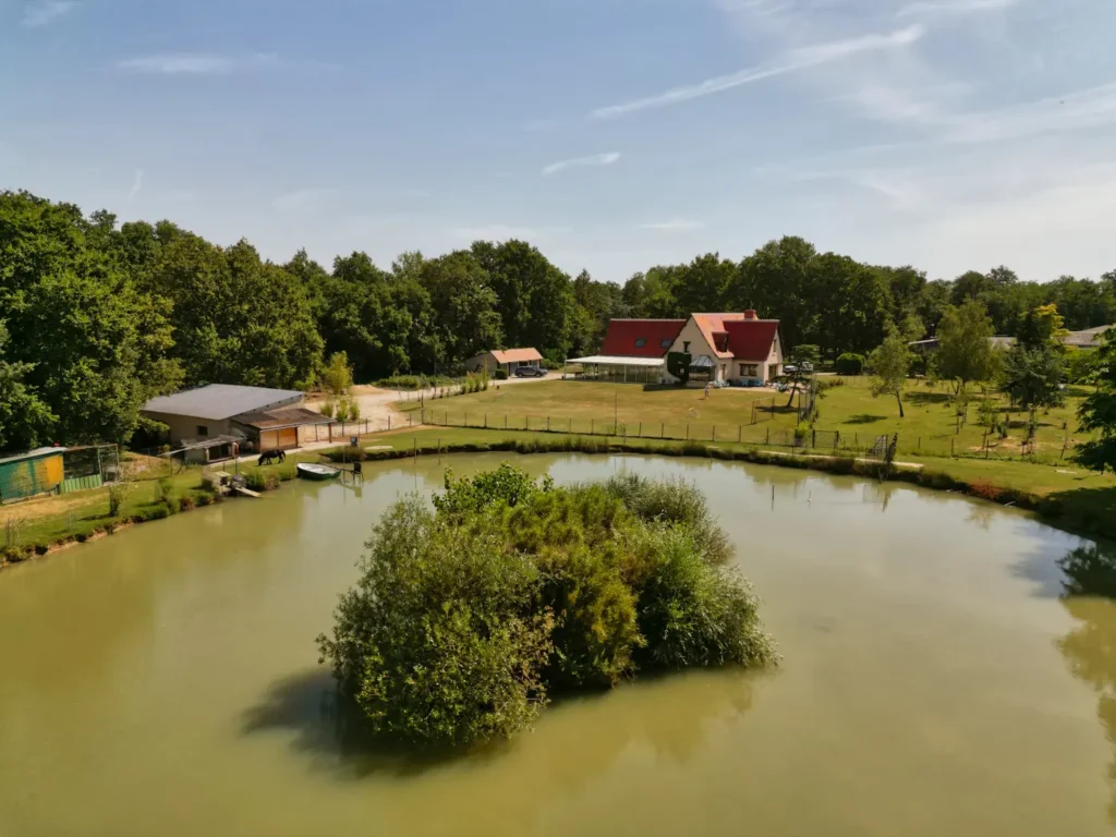 Oies et canards sur l’étang naturel du gîte Villa Lupantia