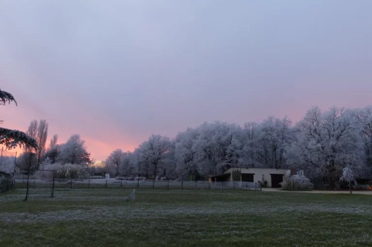 Parc arboré de Villa Lupantia à Louans en hiver